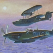 Zchran operace  /the Rescue operation /