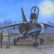 No�n� slu�ba  /service of the night/