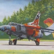 Mig-devil jet
