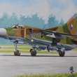 V pomal�m pohybu na stoj�nku / slowly move to taxiway /