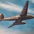 P�elet nad hlavou (flying overhead)