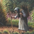 Na lesn� cest�  /on the forest path/