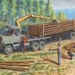 Lesn dlnci  /the forest workers/