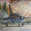 Pipraven ke startu /ready for a take off/