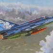 Bunny fighter /mig-21/